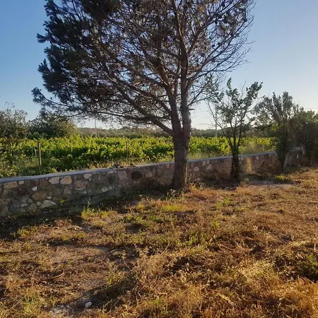 Bozcada Aden Vineyard Feriehus Bozcaada