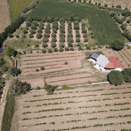 Bozcada Aden Vineyard Feriehus *