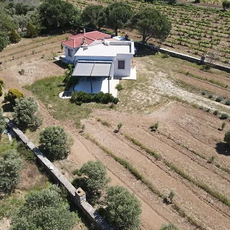 Bozcada Aden Vineyard Feriehus Bozcaada