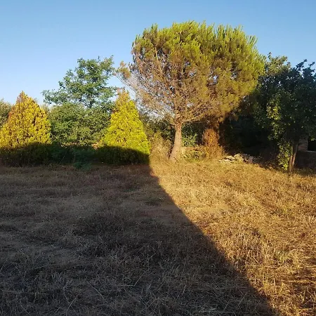 Bozcada Aden Vineyard * Bozcaada