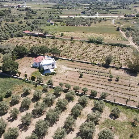 Holiday home Bozcada Aden Vineyard
